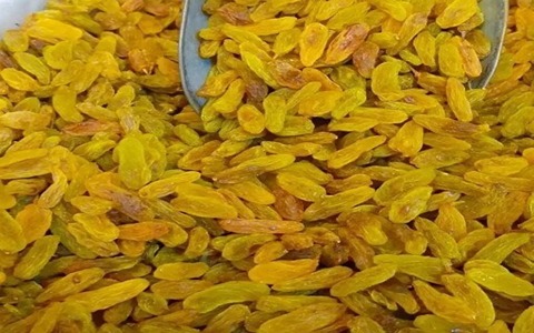 تصویر 3 از قیمت خرید کشمش زرد کاشمر + فروش ویژه